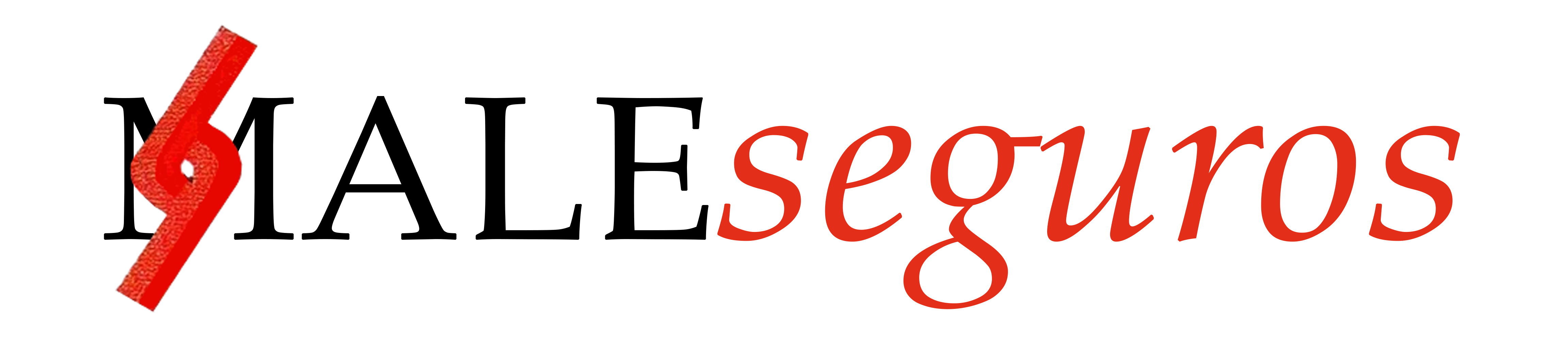 MaleSeguros